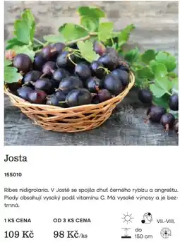 Starkl Josta nabídka