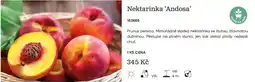 Starkl Nektarinka 'Andosa' nabídka