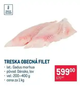 Makro Treska obecná – filet nabídka