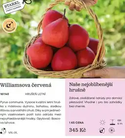 Starkl Starkl williamsova červená nabídka