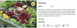 Starkl Zdrojová netřesk nabídka