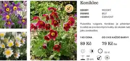 Starkl Koniklec nabídka
