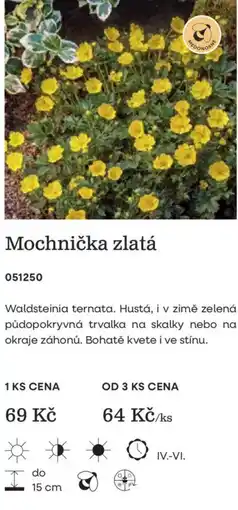 Starkl Mochnička zlatá nabídka