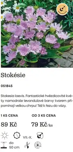 Starkl Stokésie nabídka