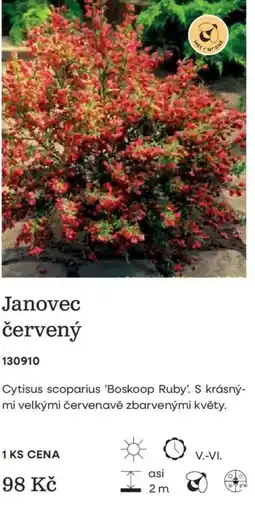 Starkl Melcno sne Janovec červený nabídka