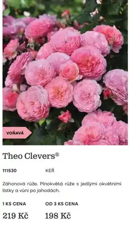 Starkl Theo Clevers® KEŘ nabídka