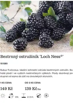 Starkl Loch Ness® beztrnný ostružiník nabídka
