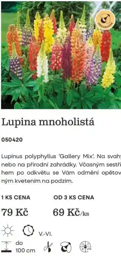 Starkl Medonosné lupina mnoholistá nabídka