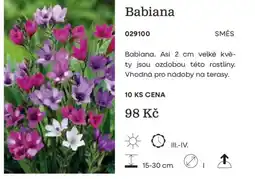 Starkl Babiana nabídka