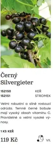 Starkl Černý Silvergieter nabídka