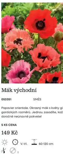 Starkl Mák východní nabídka