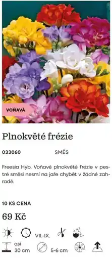 Starkl Frenia plnkvěté frézie nabídka