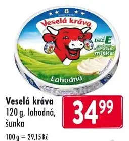 Qanto Veselá kráva lahodná šunka nabídka
