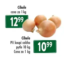 Qanto Cibule nabídka