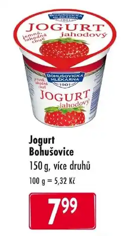 Qanto Jogurt Bohušovice nabídka