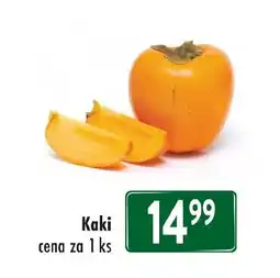 Qanto Kaki nabídka
