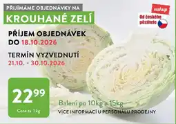 Qanto Krouhané zelí nabídka