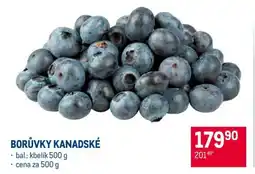 Makro Borůvky kanadské nabídka