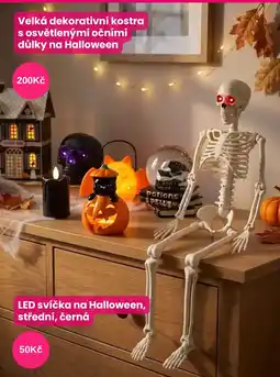 Pepco Velká dekorativní kostra s osvětlenými očními důlky na Halloween nabídka