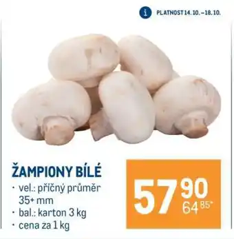 Žampiony bílé