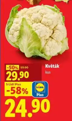 Lidl Květák nabídka