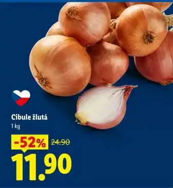 Cibule žlutá