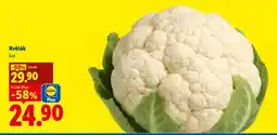 Lidl Květák nabídka