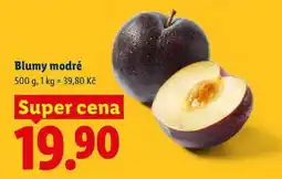Lidl BLUMY MODRÉ nabídka
