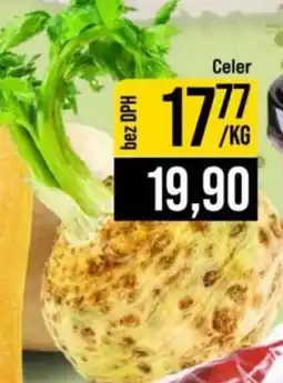 Jip Celer nabídka
