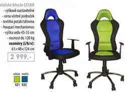 IDEA nábytek Křeslo CESAR nabídka