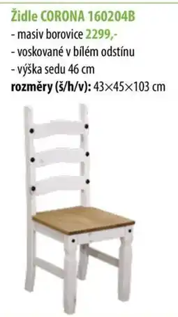 IDEA nábytek Židle CORONA 160204B nabídka