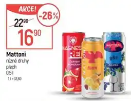 Globus Mattoni různé druhy plech nabídka