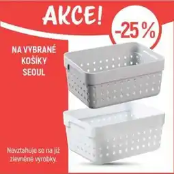 Globus Seoul košíky nabídka