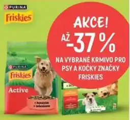 Globus Friskies Active nabídka