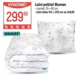 Globus Wendre ložní polštář Blumen nabídka