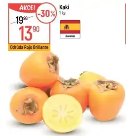 Globus Kaki nabídka
