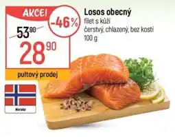 Globus Losos obecný nabídka