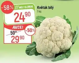 Globus Můj globus květák bílý nabídka