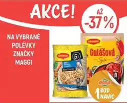 Globus Maggi polévky nabídka