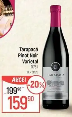 Globus Tarapacá Pinot Noir Varietal nabídka