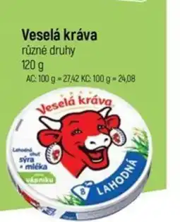 Globus Veselá kráva různé druhy nabídka