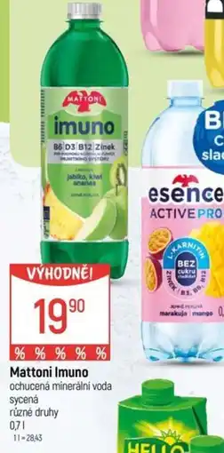 Globus Mattoni Imuno ochucená minerální voda nabídka