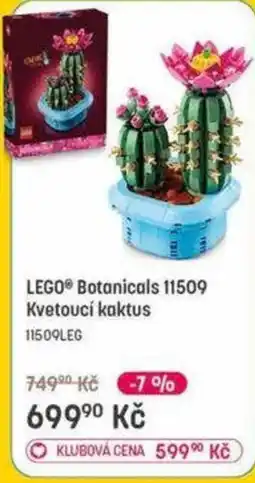 Bambule LEGO Botanicals Kvetoucí kaktus nabídka