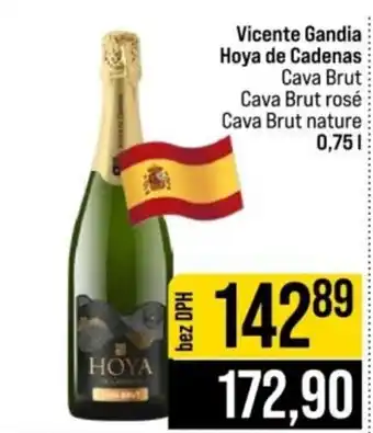 Vicente Gandia Hoya de Cadenas Cava Brut