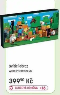 Bambule Svítící obraz WDCL2500321EPM nabídka