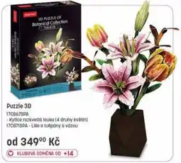 Bambule Puzzle 3D nabídka