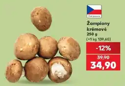 Kaufland Česká potravina Žampiony krémové nabídka