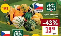 Billa Česká Farma Dýně okrasná nabídka