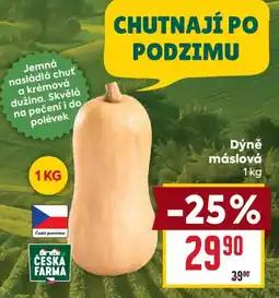 Billa Česká farma dýně máslová nabídka