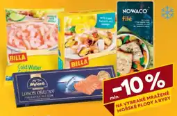 Billa Nowaco file nabídka